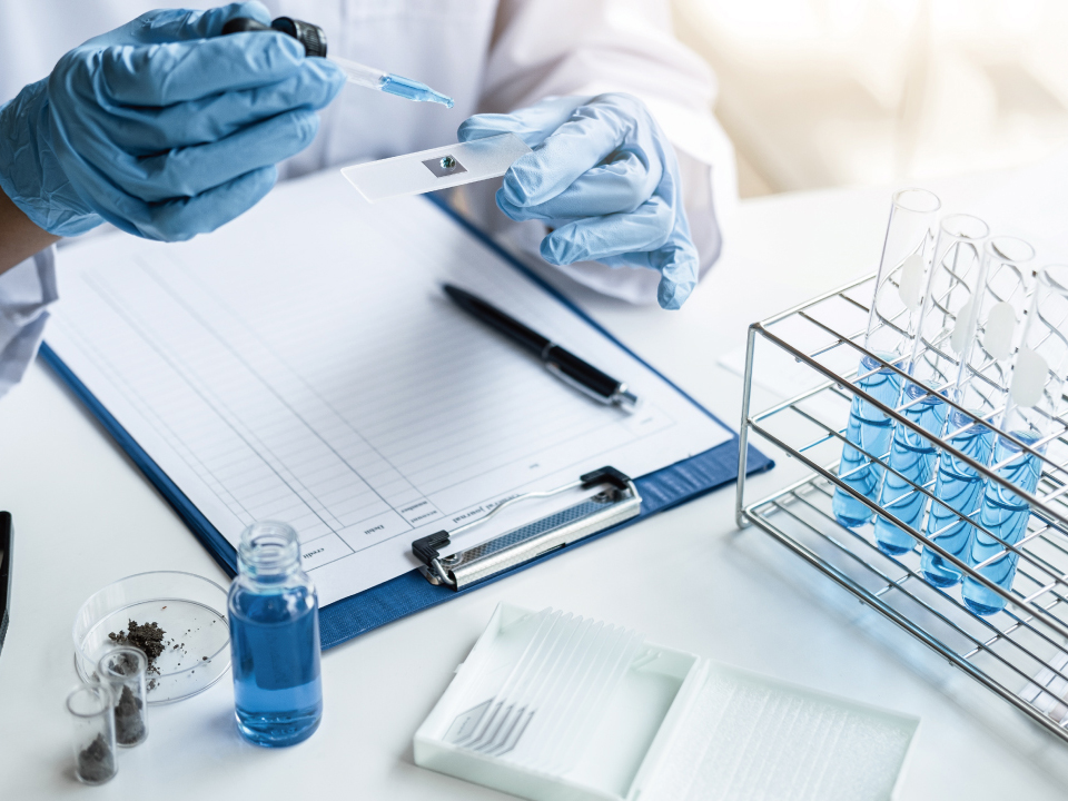 Imagen del curso TDM Salamanca